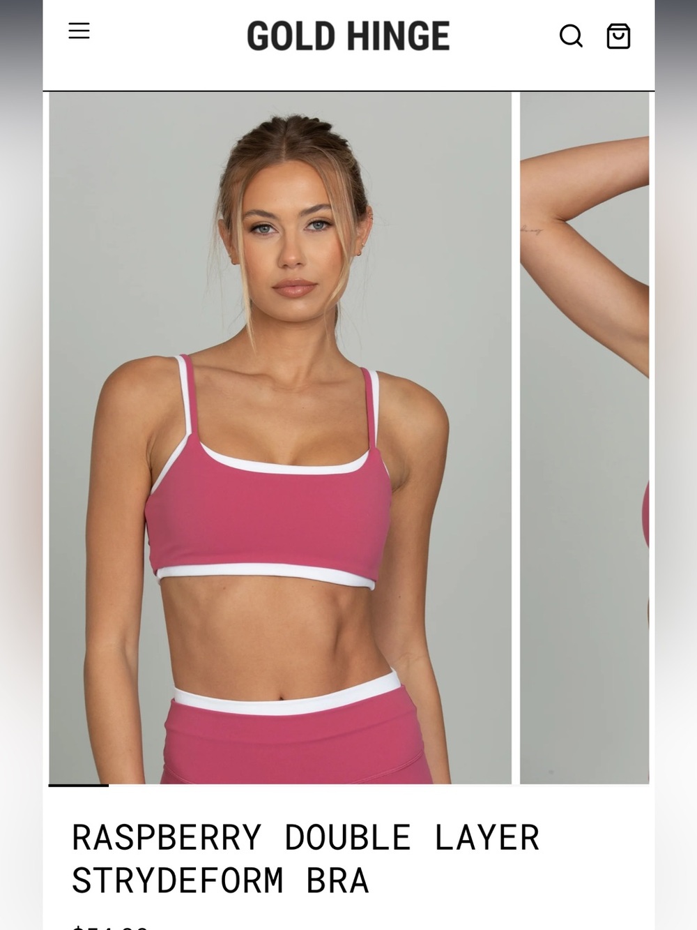 Gold Hinge Raspberry Double Layer Strydeform Bra